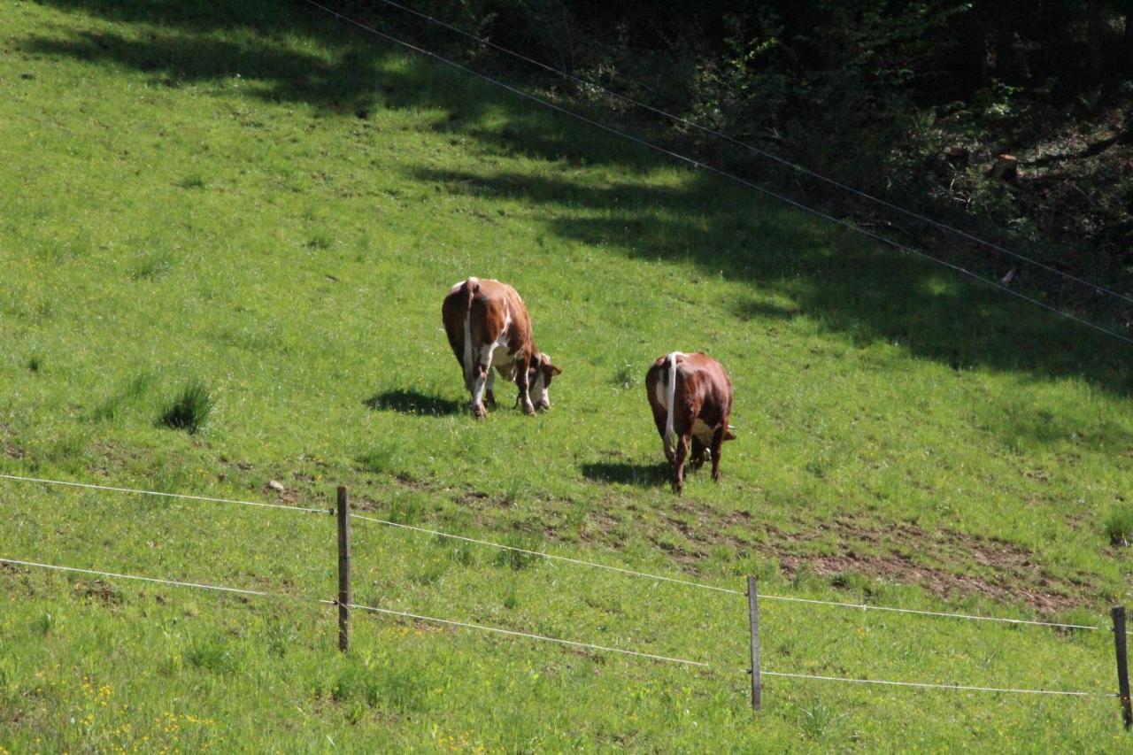 Ferienwohnung Kleissner Großklein Esterno foto